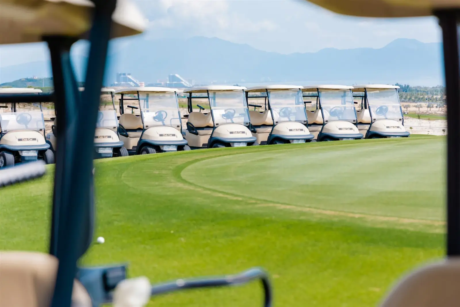 Caddie chuyên nghiệp